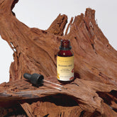 Buzzing Bee | Caffeine Gel Booster - fleurhive