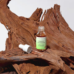 Ginkgo Guardian | Ginkgo Leaf Gel Booster - fleurhive